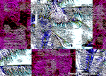 SOUS LE VENT.gif